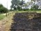 Terreno en Santa Cruz la mejor zona