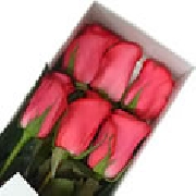 Floreria rosalinda: despachos a domicilio
