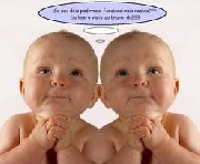 Ventas al mayor productos de bebe e infantes