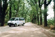 Cabaas en mendoza