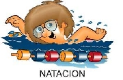 Profesor de natacion