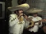 Mariachis en la molina amador