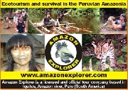 Amazon Explorer (Iquitos, Amazon river, Peru)