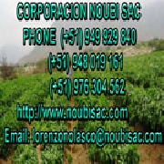 Venta de productos organicos