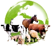 Veterinarios de mxico
