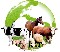 Veterinarios de m&eacute;xico