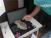 Vendo netbook