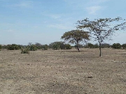 terreno en olmos- lambayeque