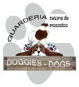 Guarderia casera de mascotas doggies dogs