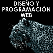 Diseador programador paginas web sistemas lima