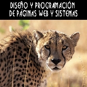 Diseador de paginas web programador lima