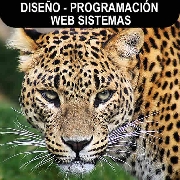 Paginas web diseñador programador en lima