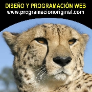 Paginas web diseo programacion empresas lima