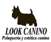 Peluquera canina a domicilio: look canino