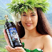 Tahitian noni bebidas bioactivas