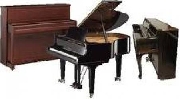 Pianos : servicio tecnico profesional