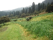 Piedra grande terreno en venta