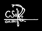 Csart gallery