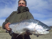 Fly fishing in patagonia