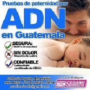 Pruebas de adn para confirmar paternidad