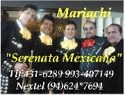 Mariachis peruanos en brea serenata mexicana