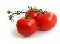 Nave tomates triturados en venta en mendoza