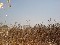 Terreno en venta texcoco san luis huexotla