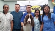 Peluqueria canina