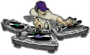 Disc jockey 1000 pesos capital federal