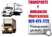 Transporte y mudanza profesional