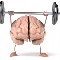 Curso de iniciación a la estimulación cognitiva