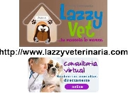 Lazzyvet - Clínica Veterinaria